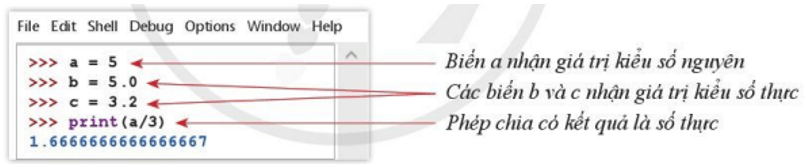 Lý thuyết Tin học 10 Cánh diều Bài 4: Các kiểu dữ liệu số và câu lệnh vào – ra đơn giản (ảnh 1)