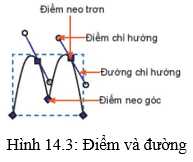 Lý thuyết Tin 10 Kết nối tri thức Bài 14: Làm việc với đối tượng đường và văn bản (ảnh 5)