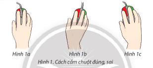 Tin học lớp 3 trang 64 Khám phá | Chân trời sáng tạo