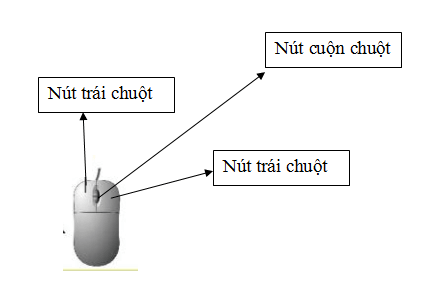 Tin học lớp 3 trang 22, 23 Thực hành