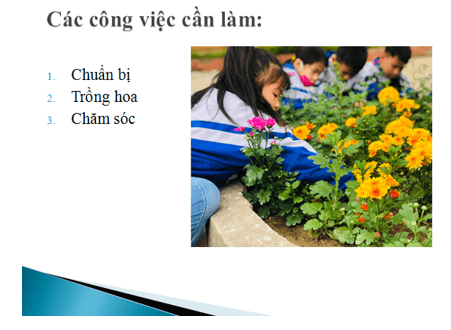 Tin học lớp 3 Bài 16: Công việc của em và sự trợ giúp của máy tính trang 71, 72, 73, 74 (ảnh 1)