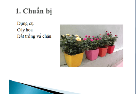 Tin học lớp 3 Bài 16: Công việc của em và sự trợ giúp của máy tính trang 71, 72, 73, 74 (ảnh 1)