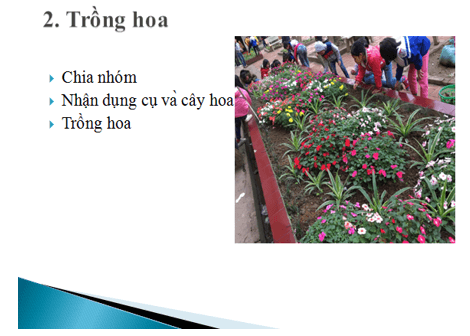 Tin học lớp 3 Bài 16: Công việc của em và sự trợ giúp của máy tính trang 71, 72, 73, 74 (ảnh 1)