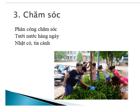 Tin học lớp 3 Bài 16: Công việc của em và sự trợ giúp của máy tính trang 71, 72, 73, 74 (ảnh 1)