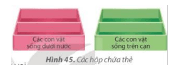 Tin học lớp 3 Bài 7: Sắp xếp để dễ tìm trang 34, 35, 36, 37, 38 (ảnh 1)