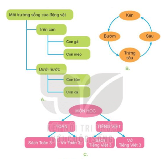 Tin học lớp 3 Bài 8: Sơ đồ hình cây. Tổ chức thông tin trong máy tính trang 38, 39, 40, 41  (ảnh 1)