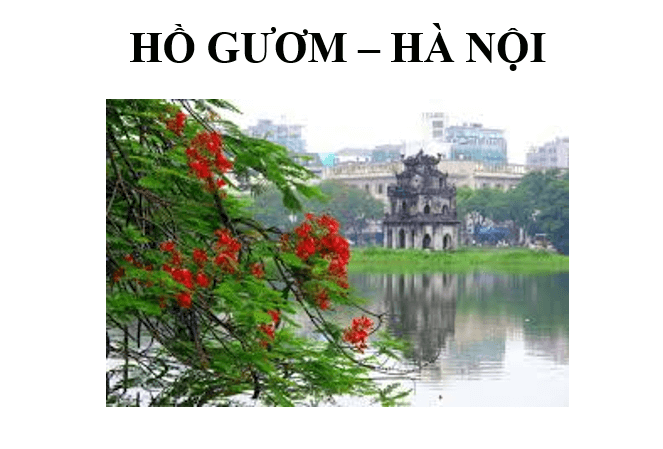 Tin học lớp 4 trang 29 Cánh diều