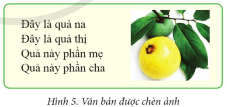 Tin học lớp 4 trang 41 Cánh diều