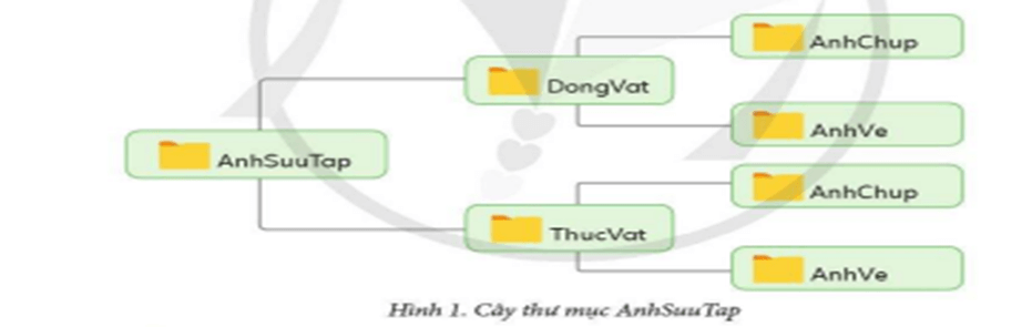 Trắc nghiệm Tin học lớp 4 Cánh diều Bài 3 (có đáp án): Thực hành tạo, sao chép, xóa thư mục và đổi tên, di chuyển tệp