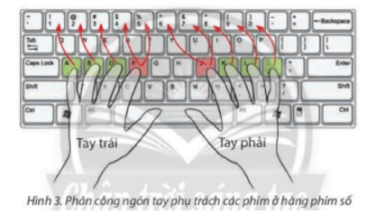 Tin học lớp 4 Chân trời sáng tạo Bài 2: Gõ bàn phím đúng cách