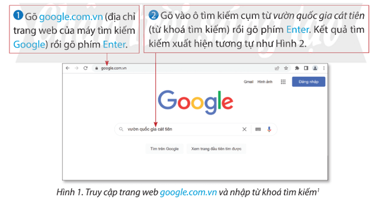 Tin học lớp 4 Chân trời sáng tạo Bài 4: Tìm kiếm thông tin trên internet