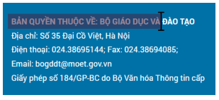 (Kết nối tri thức) Trắc nghiệm Tin học lớp 4 Bài 3 (có đáp án): Thông tin trên trang web