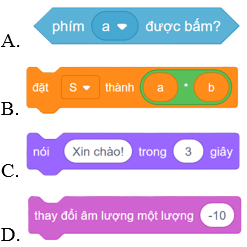 Trắc nghiệm Tin học lớp 5 Cánh diều Bài 7 (có đáp án): Cấu trúc lặp có điều kiện