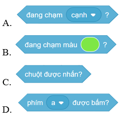 Trắc nghiệm Tin học lớp 5 Cánh diều Bài 7 (có đáp án): Cấu trúc lặp có điều kiện