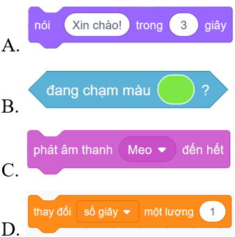 Trắc nghiệm Tin học lớp 5 Kết nối tri thức Bài 14 (có đáp án): Sử dụng biến trong chương trình 