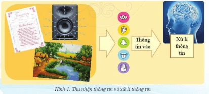 Lý thuyết Tin học 6 Bài 1: Thông tin - thu nhận và xử lí thông tin