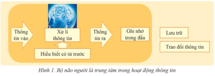 Lý thuyết Tin học 6 Bài 2: Lưu trữ và trao đổi thông tin