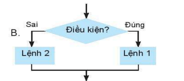 Trắc nghiệm Tin học 6 Bài 5 (có đáp án): Thực hành về mô tả thuật toán | Cánh diều