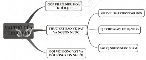 Trắc nghiệm Tin học 6 Bài 6 (có đáp án): Sơ đồ tư duy