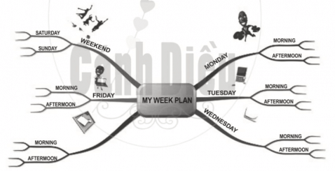 Trắc nghiệm Tin học 6 Bài 7 (có đáp án): Thực hành khám phá phần mềm sơ đồ tư duy | Cánh diều