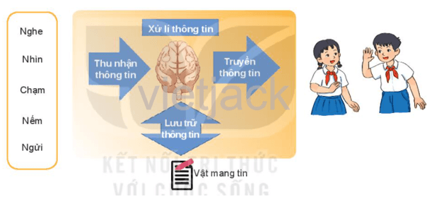 Em hãy xem xét tình huống cầu thủ ghi bàn và trả lời các câu hỏi sau