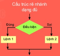 Lý thuyết Tin học 6 Bài 16: Các cấu trúc điều khiển| Kết nối tri thức