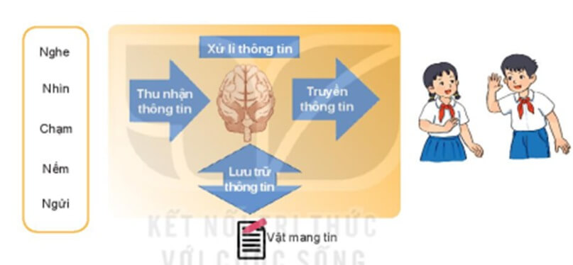 Lý thuyết Tin học 6 Bài 2: Xử lí thông tin