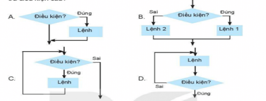 Trắc nghiệm Tin học 6 Bài 16 (có đáp án): Cấu trúc điều khiển | Kết nối tri thức