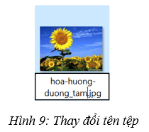 Đổi tên tệp, đổi tên thư mục