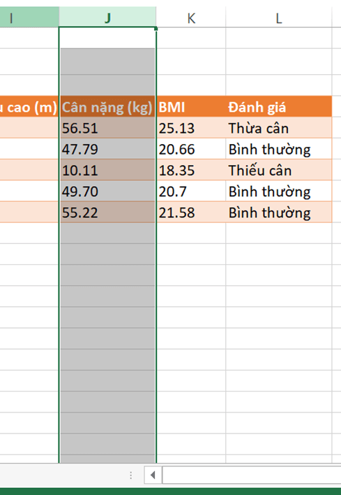 Mở tệp ThucHanh.xlsx, trong Bảng chỉ số BMI của một nhóm, hãy cho biết ô nào chứa dữ liệu trực tiếp