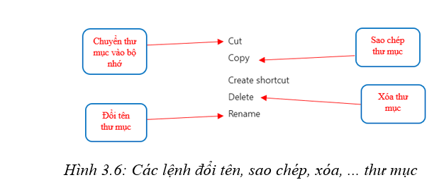 Lý thuyết Tin học 7 Kết nối tri thức Bài 3: Quản lí dữ liệu trong máy tính