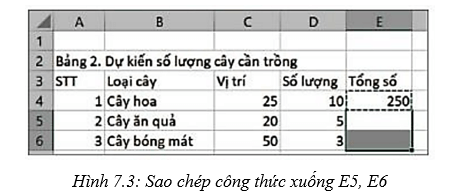 Lý thuyết Tin học 7 Kết nối tri thức Bài 7: Tính toán tự động trên trang tính