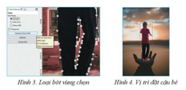 Trắc nghiệm Tin học 8 Cánh diều Bài 3 (có đáp án): Thực hành với vùng chọn