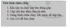 Trắc nghiệm Tin học 8 Cánh diều Bài 4 (có đáp án): Thực hành tạo danh sách liệt kê và tiêu đề trang
