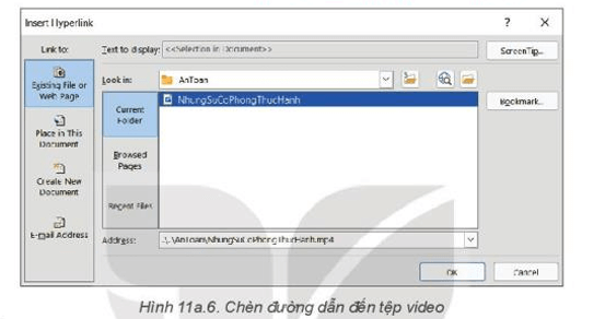 Trắc nghiệm Tin học 8 Kết nối tri thức Bài 11a (có đáp án): Sử dụng bản mẫu tạo bài trình chiếu