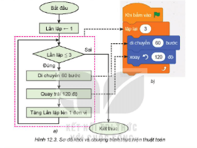 Trắc nghiệm Tin học 8 Kết nối tri thức Bài 12 (có đáp án): Từ thuật toán đến chương trình