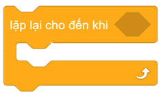 Trắc nghiệm Tin học 8 Kết nối tri thức Bài 14 (có đáp án): Cấu trúc điều khiển