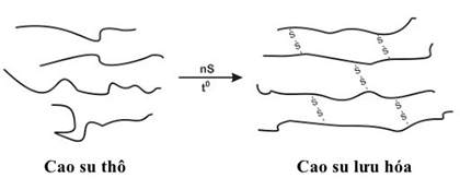 Cao su thiên nhiên là gì