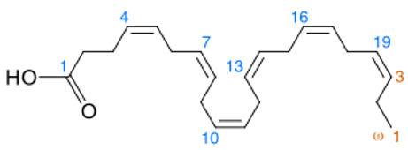 DHA (Docosahexaenoic acid) là gì (ảnh 1)