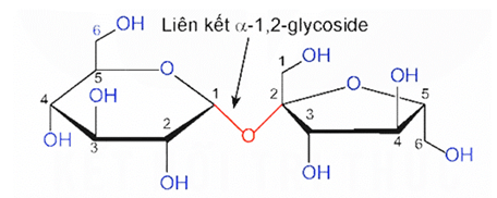 Phân tử khối của C12H22O11 (chính xác nhất)