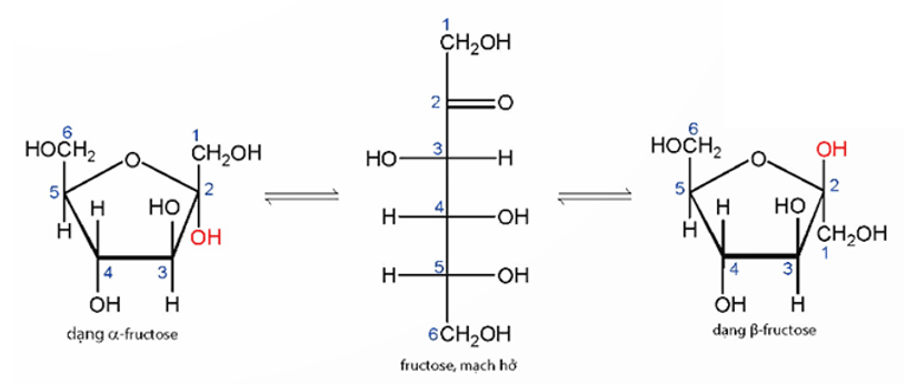 Phân tử khối của fructose (chính xác nhất)