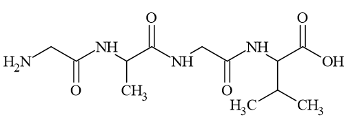 Phân tử khối của Gly-Ala-Gly-Val (chính xác nhất)