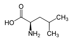 Phân tử khối của Leucine (chính xác nhất)