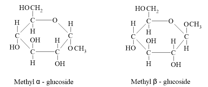 Phân tử khối của methyl glucoside (chính xác nhất)