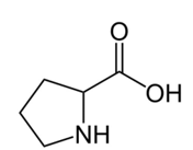 Phân tử khối của Proline (chính xác nhất)