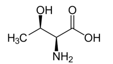 Phân tử khối của Threonine (chính xác nhất)