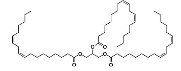 Phân tử khối của trilinolein (chính xác nhất)