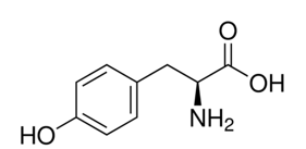 Phân tử khối của Tyrosine (chính xác nhất)