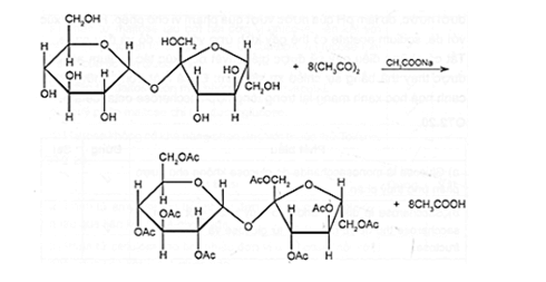Saccharose actaacetate (CH3COO)8C12H14O3 là gì