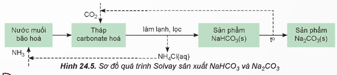 Sodium carbonate (Na2CO3) là gì